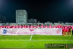 Fushata "13 vjet kundër kancerit të gjirit" 