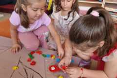 WhatsApp-Image-2026-06-04-at-11.51.53-6